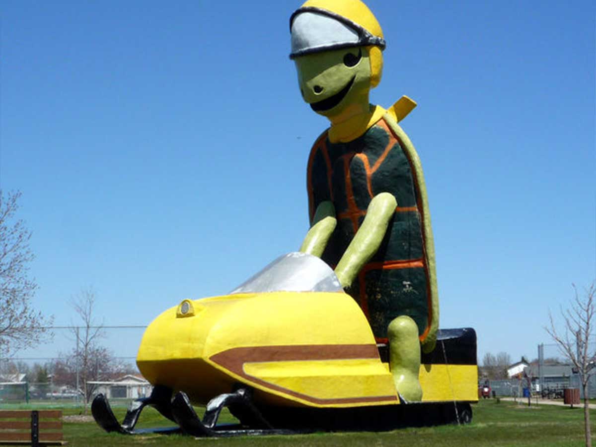 North Dakota – Tommy the Turtle