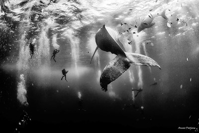 National Geographic Traveler's Stunning 2015 Photo Contest Winners