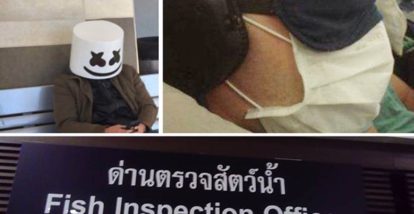 35 Wildest Things Spotted at the Airport main image