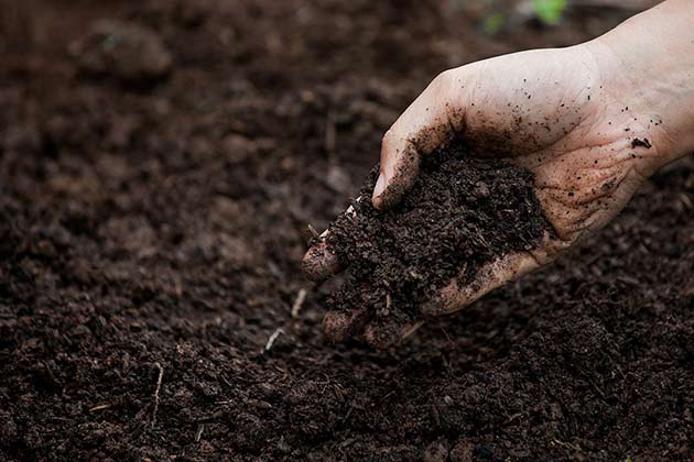 Gulf Dead Zone Reversal: Runoff Prevention