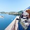 5 Tips for Road Trips with Your Pet