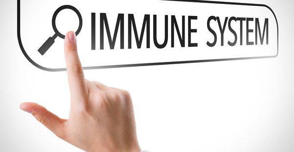 An immune system graphic