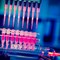 Types of Stem Cells 