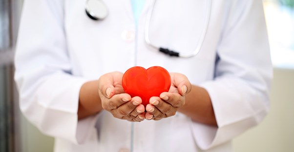 A doctor holds a fake heart