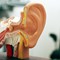 Earaches: 10 Terms to Know