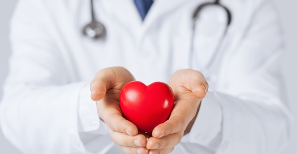 doctor holding a heart to represent ejection fraction