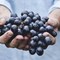 25 Foods That Can Contain Harmful Chemicals