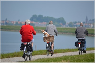 Healthy Habits that Extend Your Lifespan