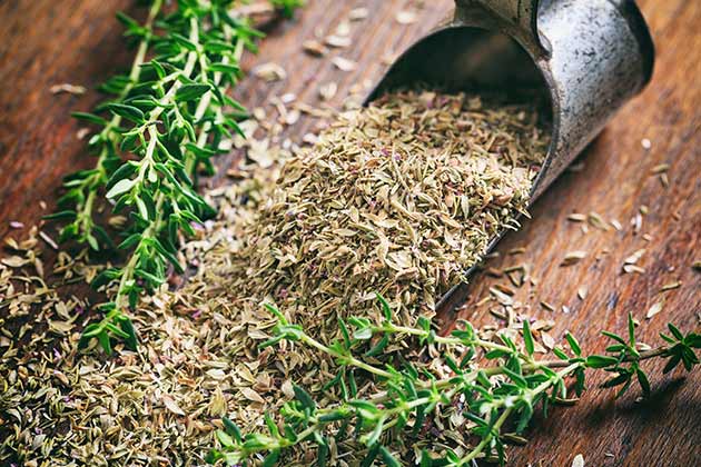 Thyme