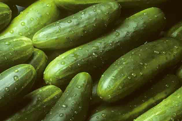 The Most Boring Vegetable