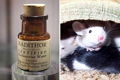 radium water and mice