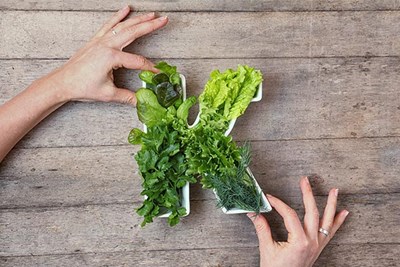 Leafy Green Vegetable K