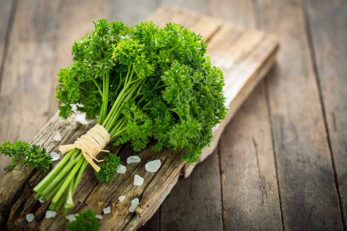 Parsley 