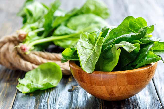 Spinach 