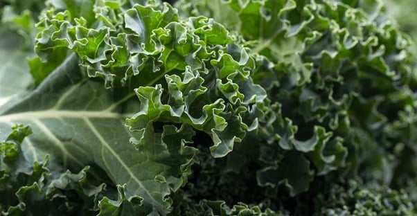 Symptoms of Eating Too Much Kale