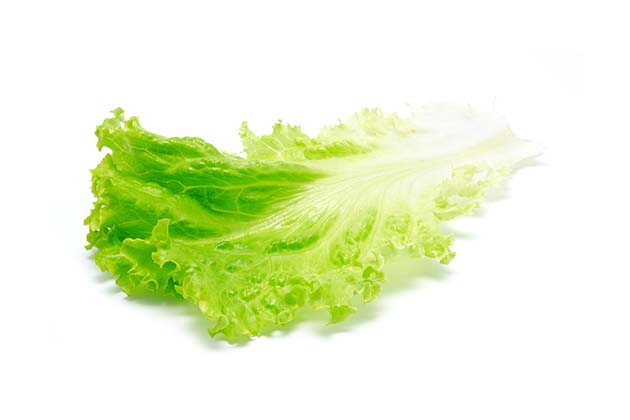Instead, Eat: Lettuce Leaves