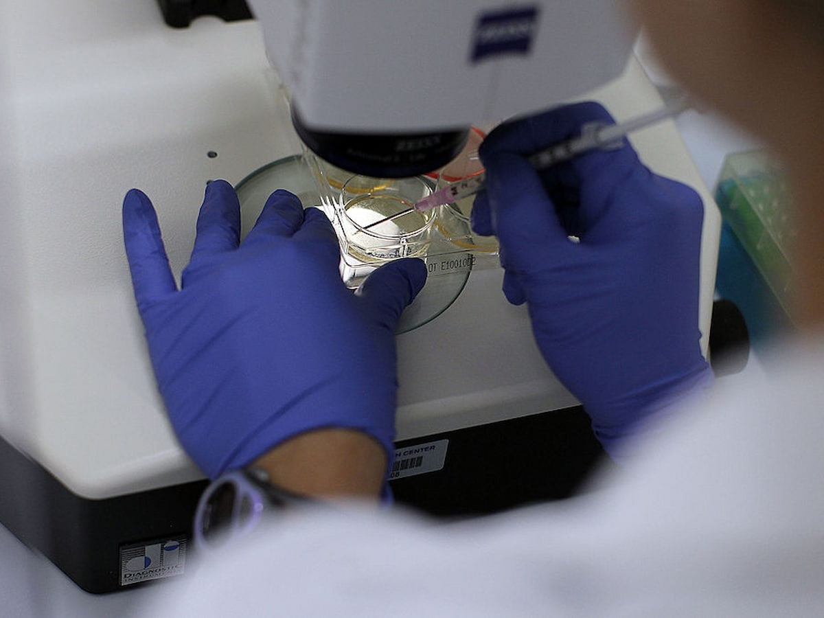 A Stem Cell Treatment that Could Free Patients from Insulin Injections