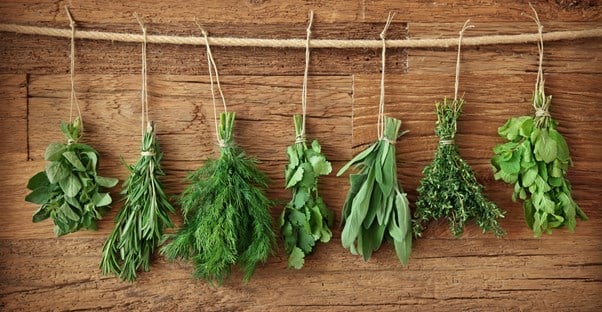 herbs representing alternative medicine