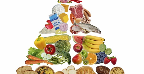 Understanding the Food Pyramid