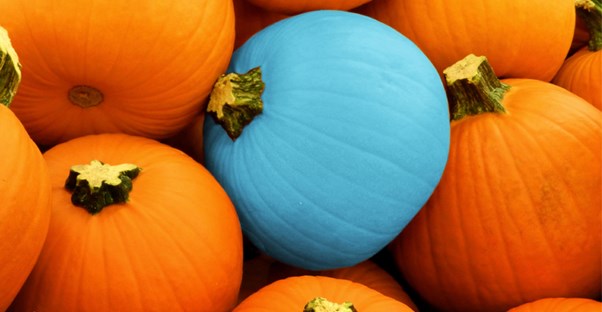 a teal pumpkin, which represents allergy-friendly trick-or-treating