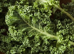 Is Kale Good for You?