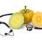 Garcinia Cambogia and Weight Loss: Separating Fact From Fiction 