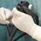 Reasons for an Endoscopy 
