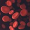 How Much Blood is in the Human Body? 